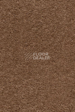 Ковролин AW Invictus Heroicus 38 фото 1 | FLOORDEALER